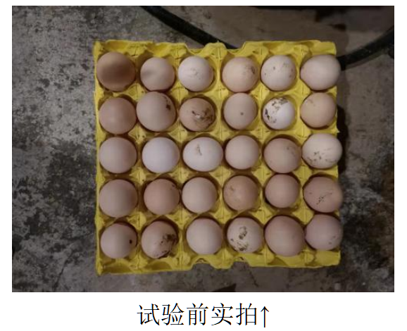 凯时KB88·(中国区)官方网站