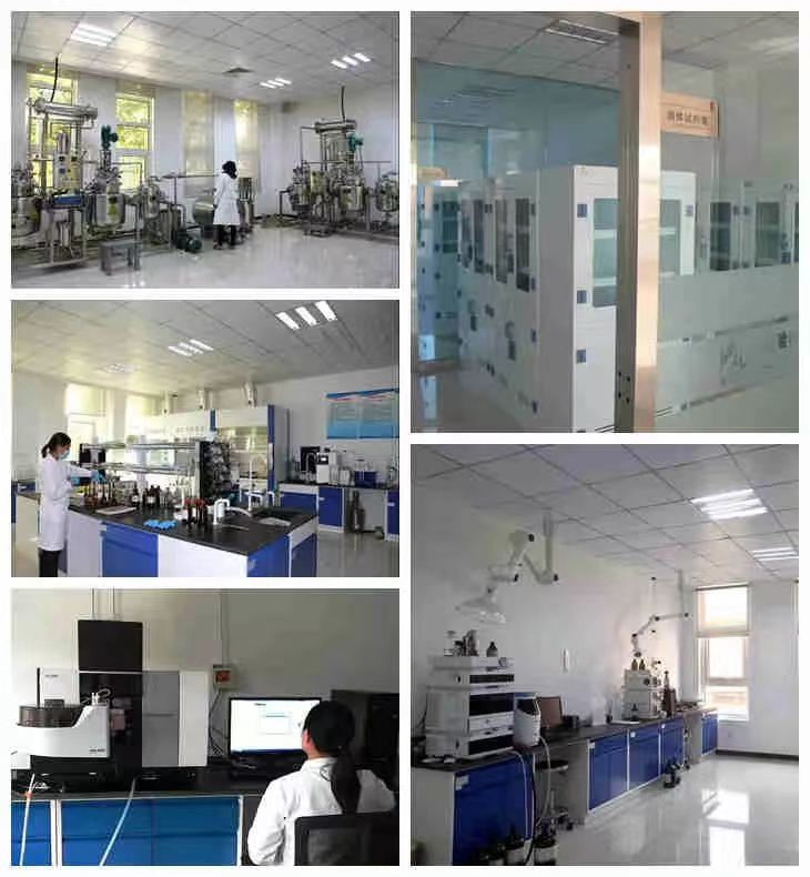 凯时KB88·(中国区)官方网站